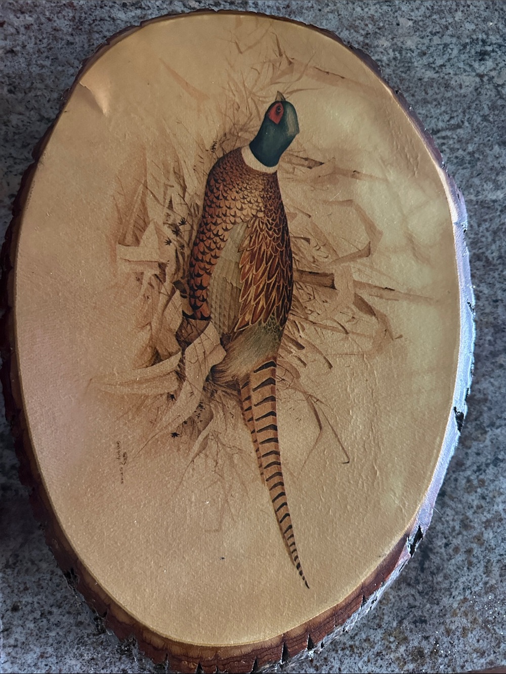 Decorative Pheasant Live Edge Wood Plaque Signed by Artist